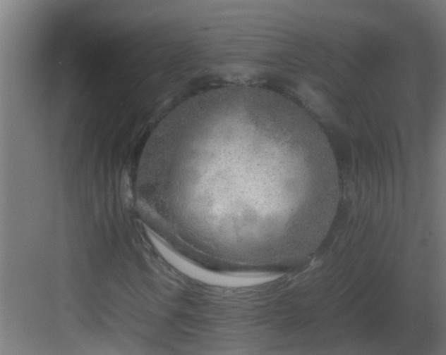 X0000082951106200702081642