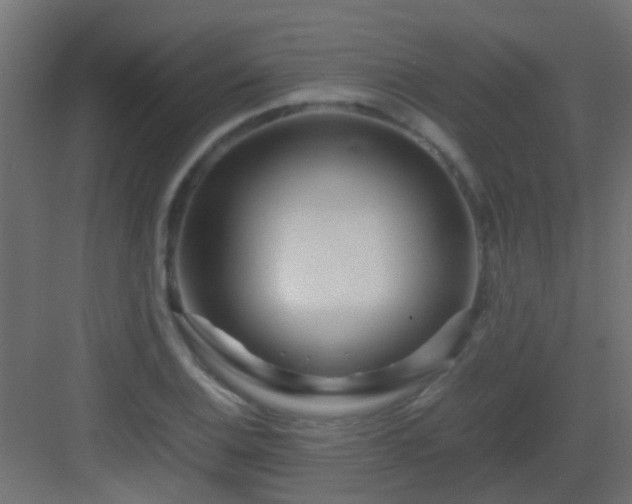 X0000082951124200702081642