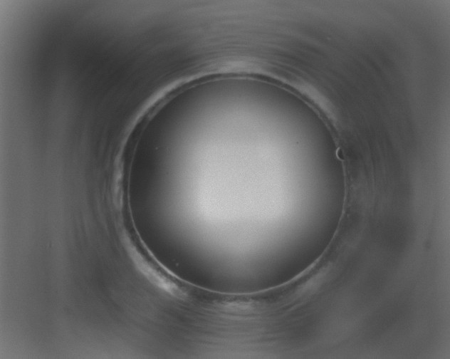 X0000082951126200702081642