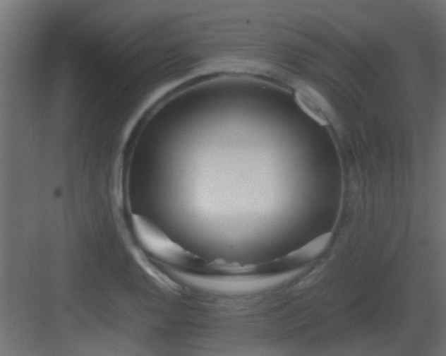 X0000082951128200702081642