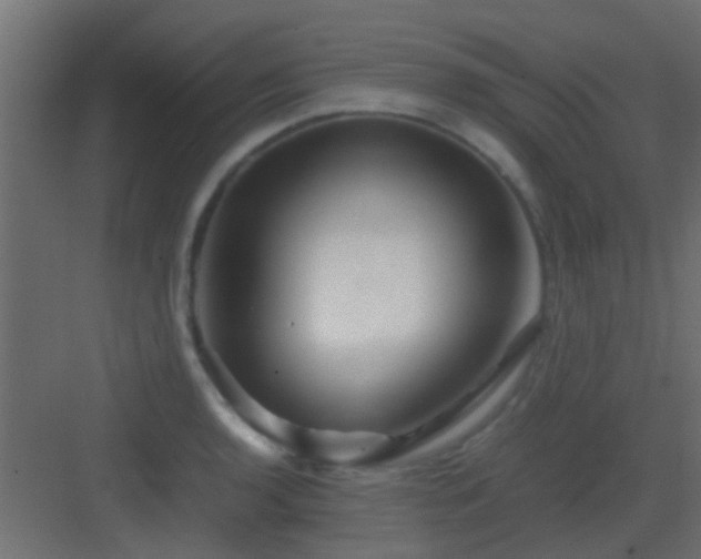 X0000082951136200702081643