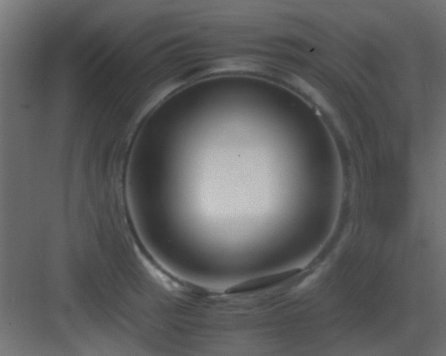 X0000082951137200702081643