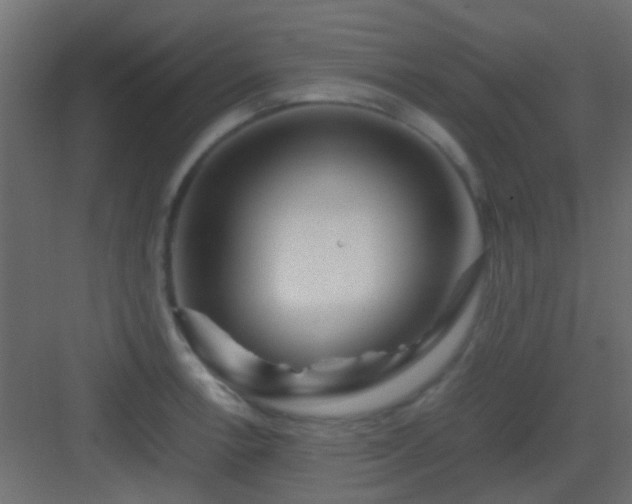 X0000082951138200702081643