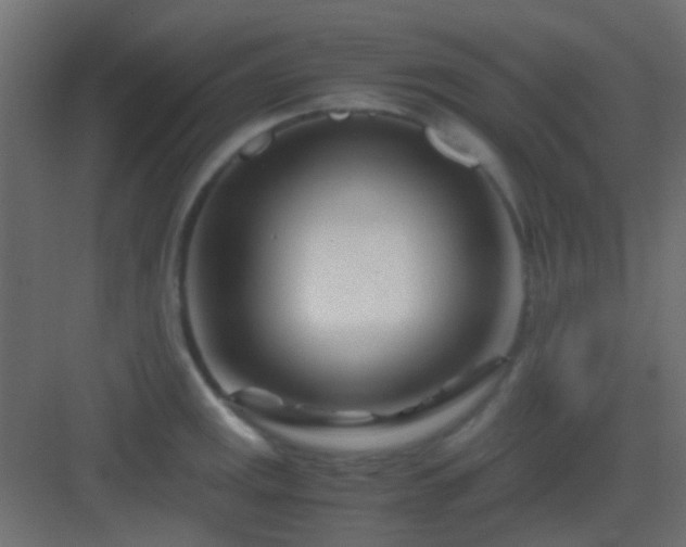 X0000082951141200702081643