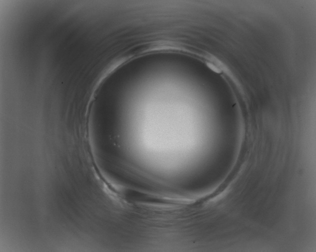 X0000082951145200702081643