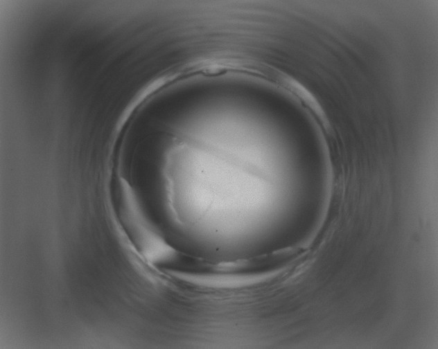 X0000082951146200702081643