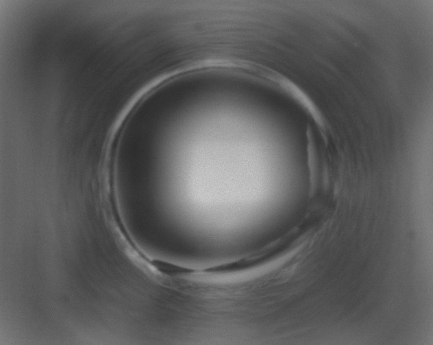 X0000082951148200702081643