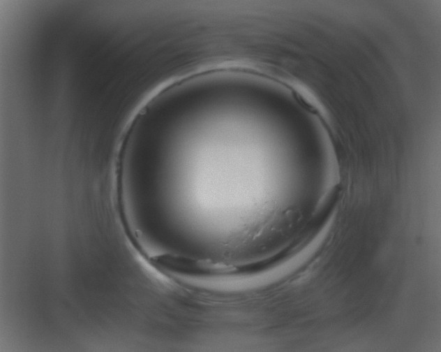 X0000082951151200702081643