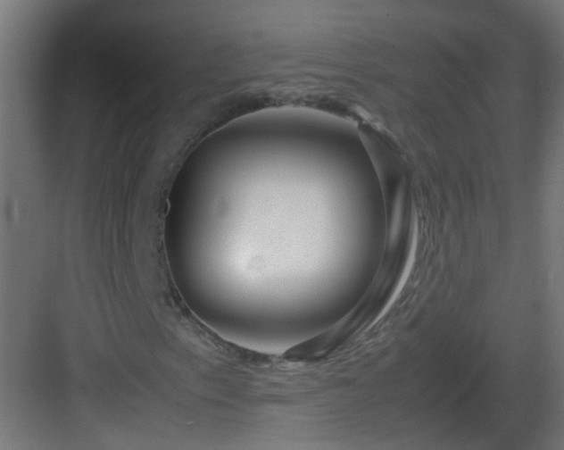 X0000082951153200702081642