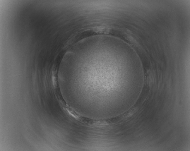 X0000082951154200702081642