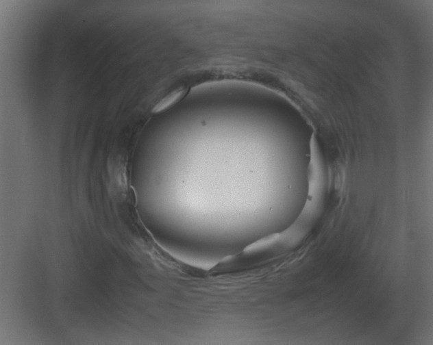 X0000082951155200702081642