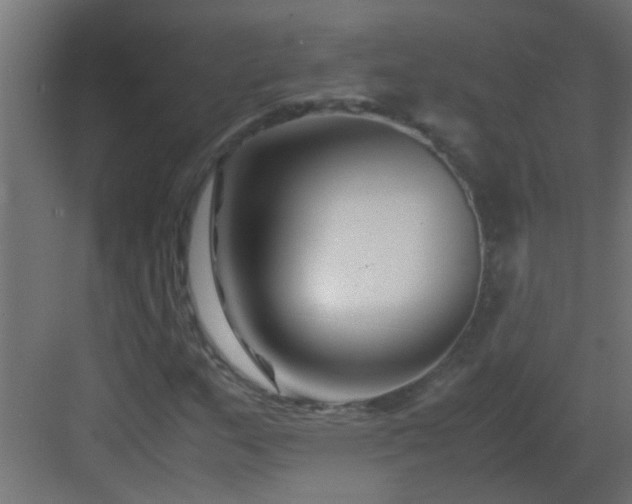 X0000082951159200702081642