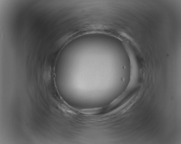 X0000082951161200702081642