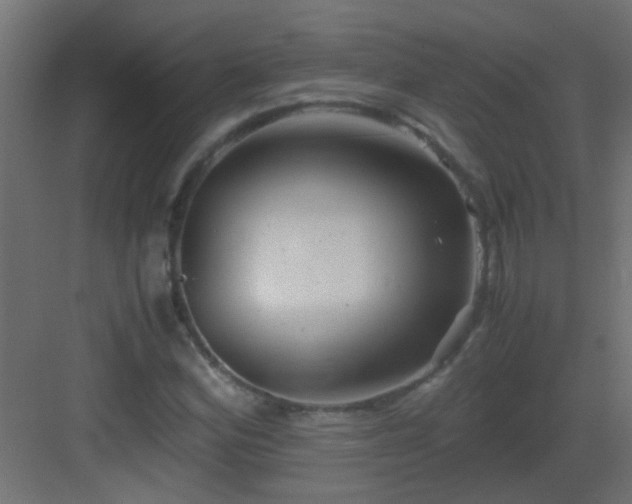 X0000082951164200702081642