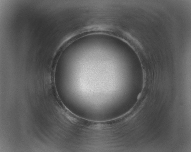 X0000082951166200702081642