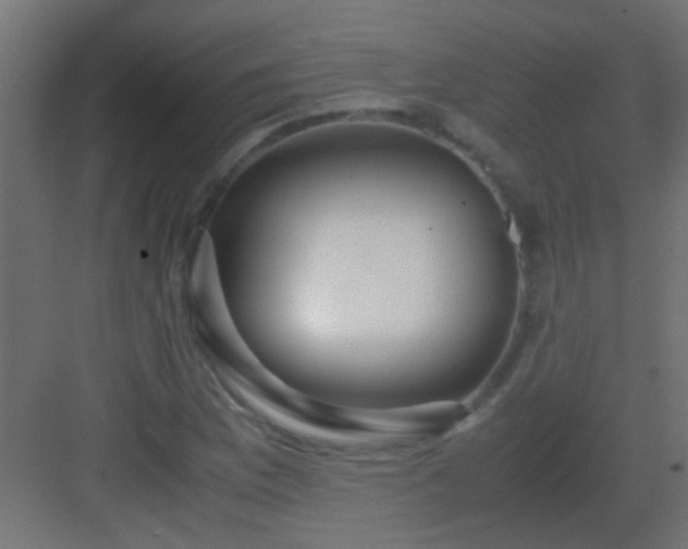 X0000082951169200702081642