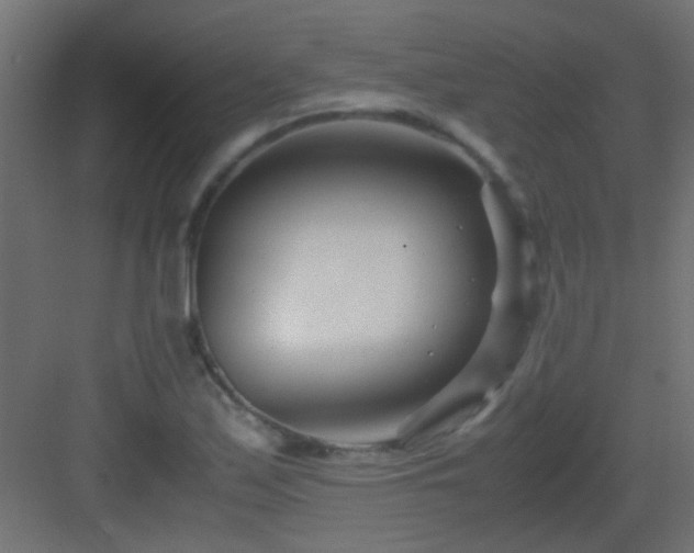 X0000082951171200702081642
