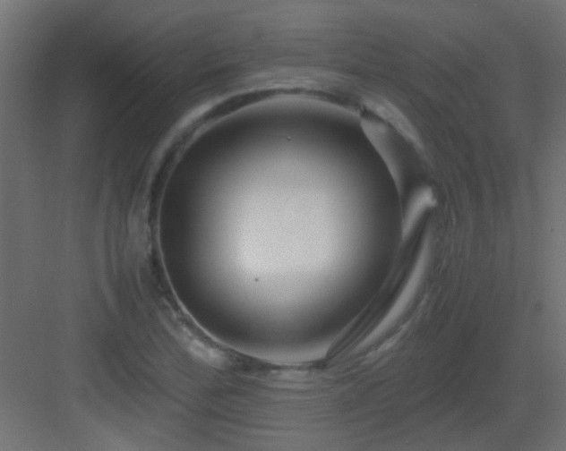 X0000082951172200702081642
