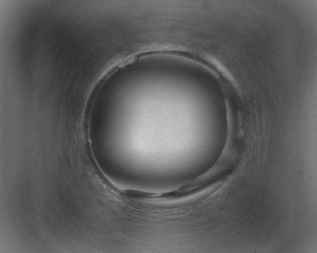 X0000082951173200702081642