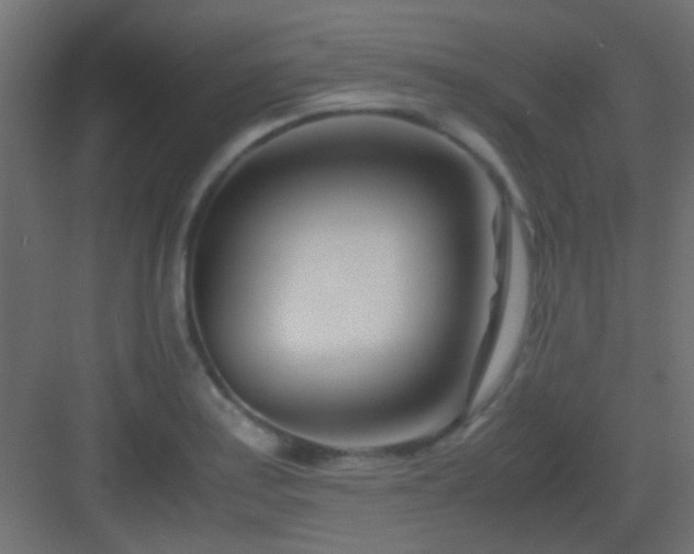 X0000082951179200702081642