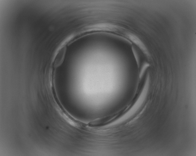 X0000082951180200702081642