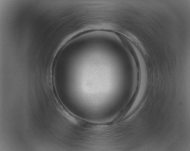 X0000082951184200702081642