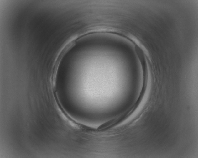 X0000082951189200702081641