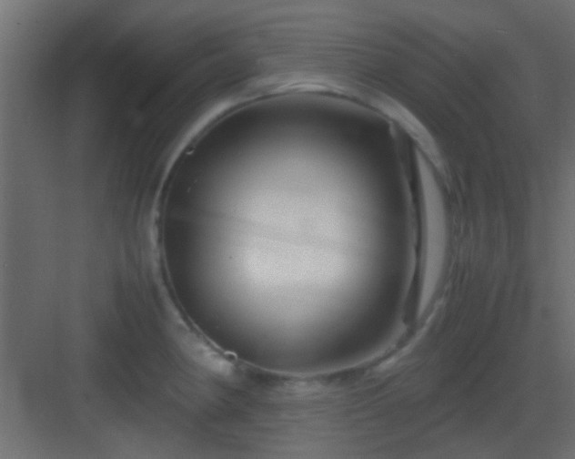 X0000082951190200702081641