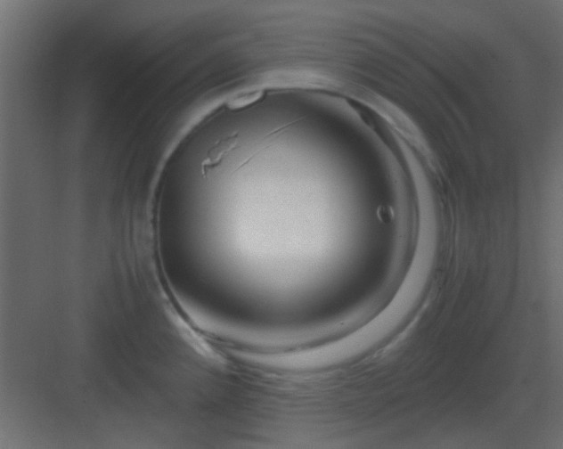 X0000082951192200702081641