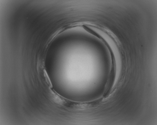 X0000082951193200702081641
