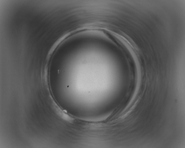 X0000082951196200702081641
