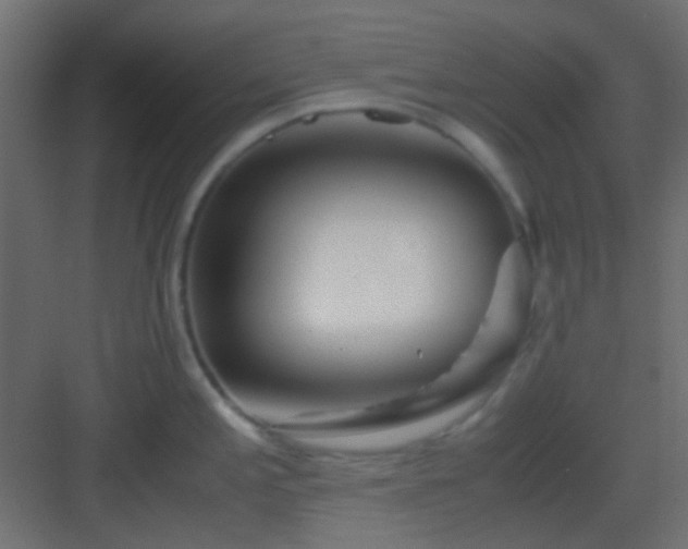 X0000082951197200702081641