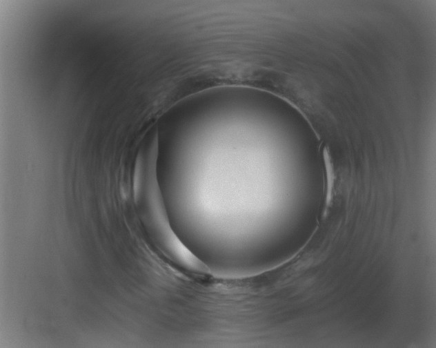 X0000082951202200702081640