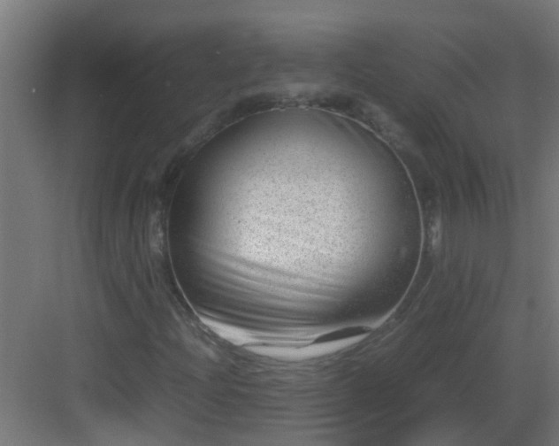 X0000082951204200702081641