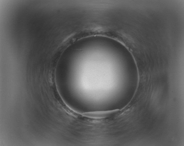 X0000082951205200702081641