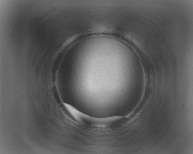 X0000082951213200702081641
