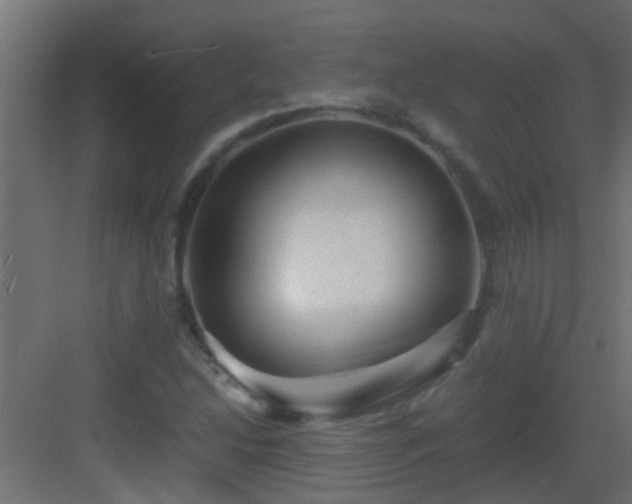 X0000082951214200702081641
