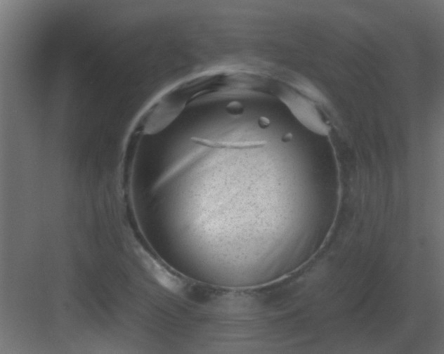 X0000082951216200702081641