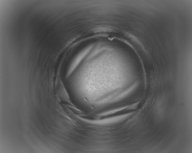 X0000082951217200702081641
