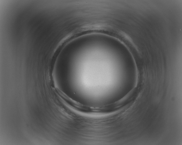 X0000082951218200702081641