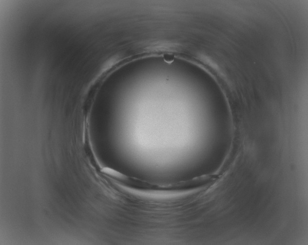 X0000082951219200702081641