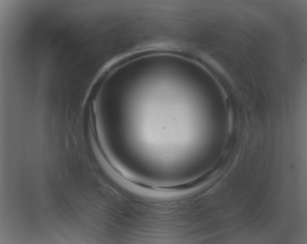 X0000082951222200702081641