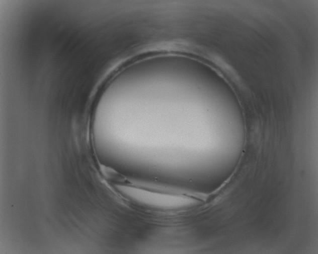 X0000082951224200702081641