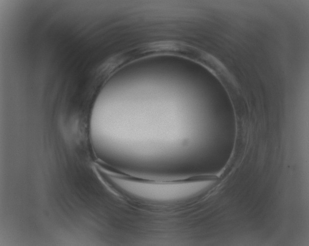 X0000082951225200702081641