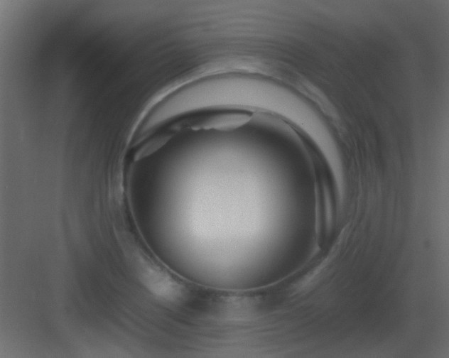 X0000082951226200702081641