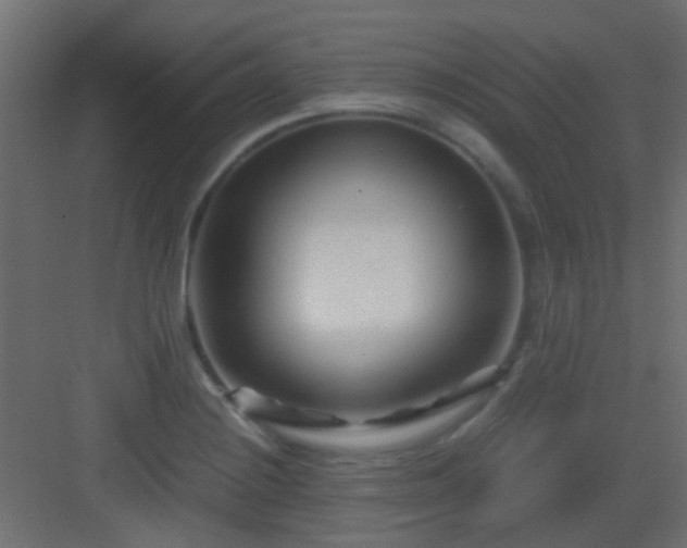 X0000082951228200702081641