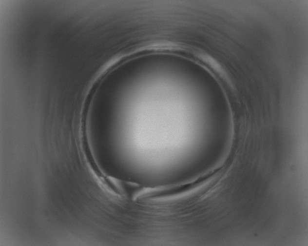 X0000082951229200702081641