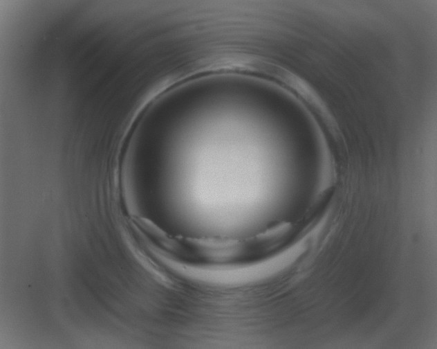X0000082951234200702081641