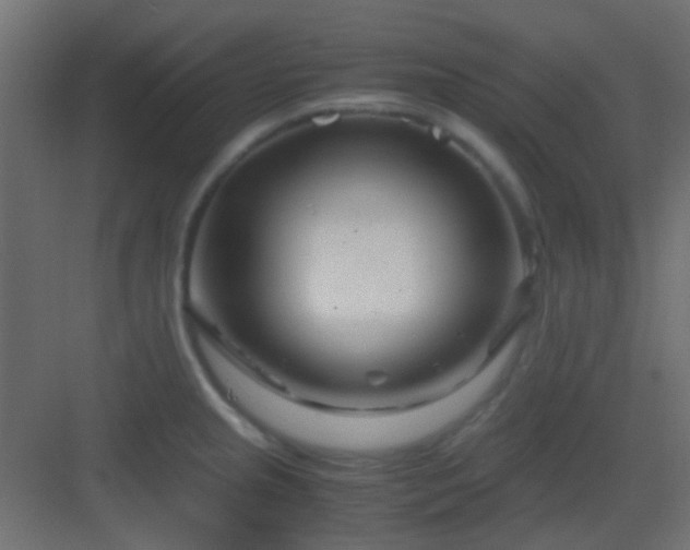 X0000082951237200702081641