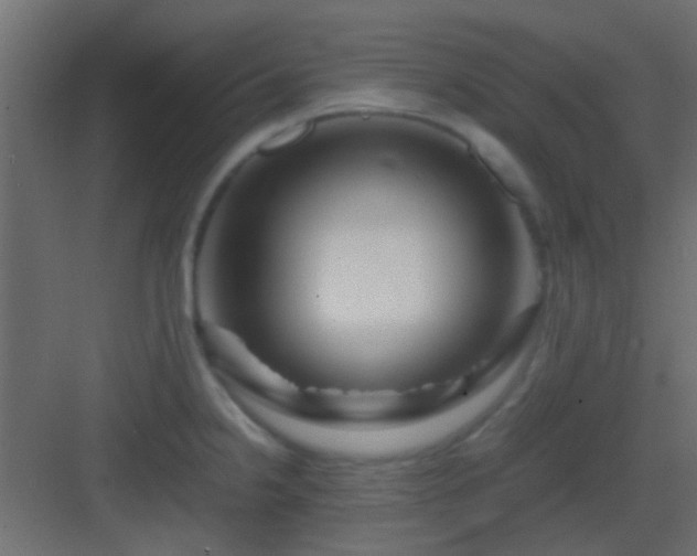 X0000082951238200702081641